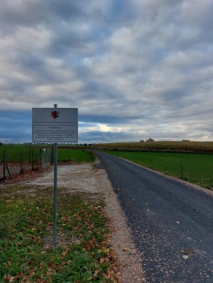 obrazek plik 1381