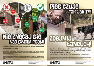 obrazek plik 2217