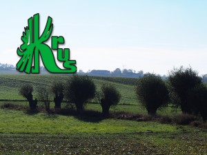 obrazek plik 908