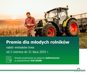 obrazek plik 2685