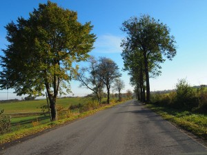 obrazek plik 879